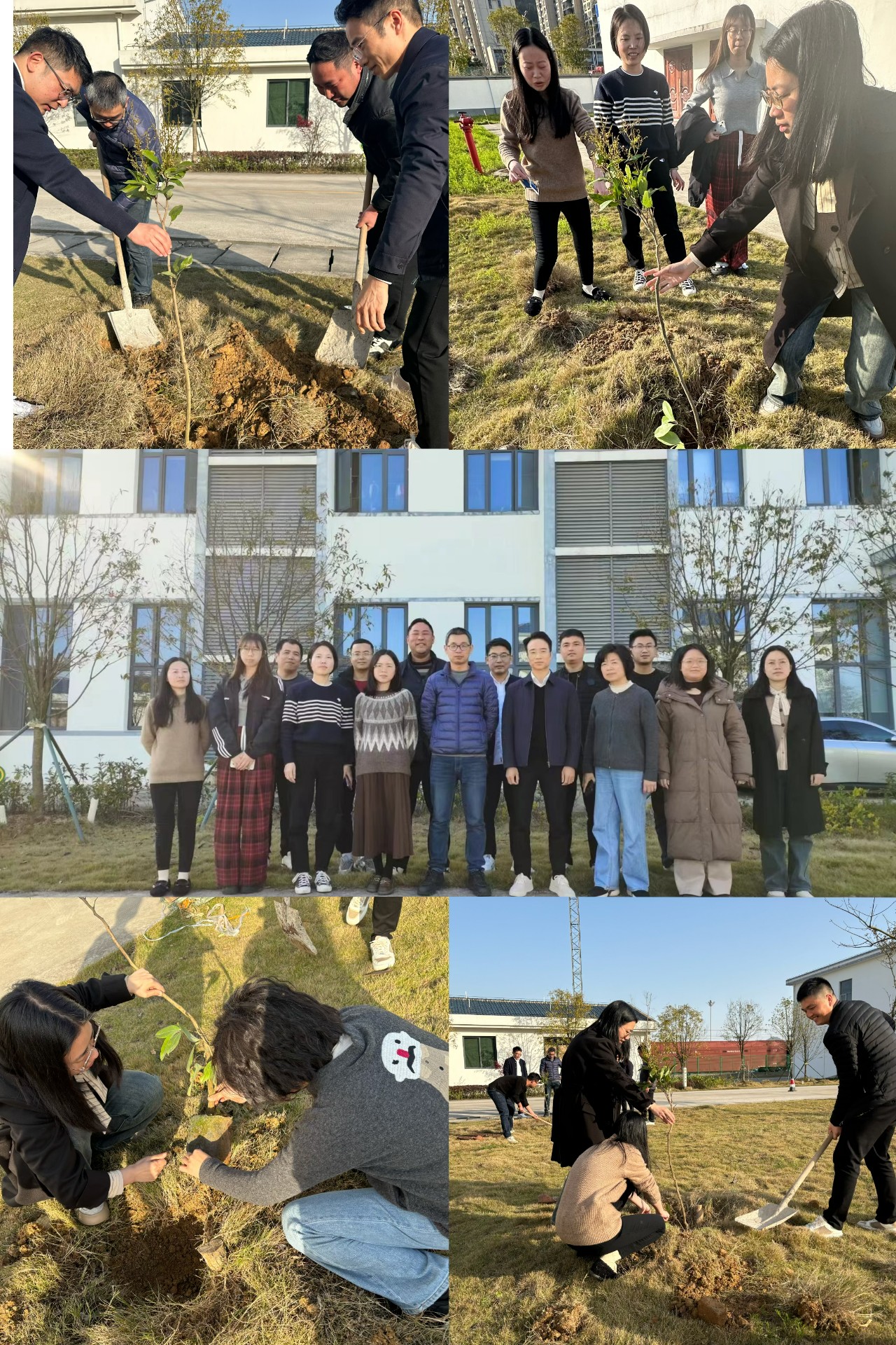 2024-3-12綠色陸港，美麗寧德，阮克妙拍攝.jpg